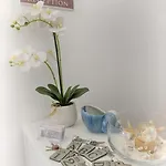 Casa Lucia 奧爾比亞
